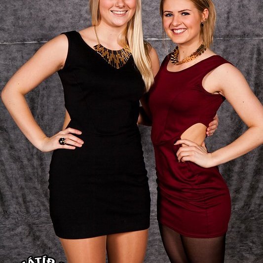 arshatid2013-litur-351